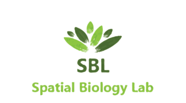 SBL3_740x412_acf_cropped