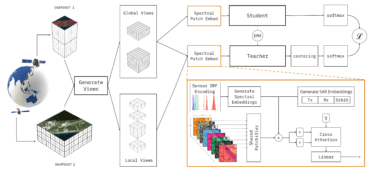 torchgeo_models