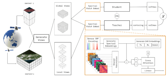torchgeo_models
